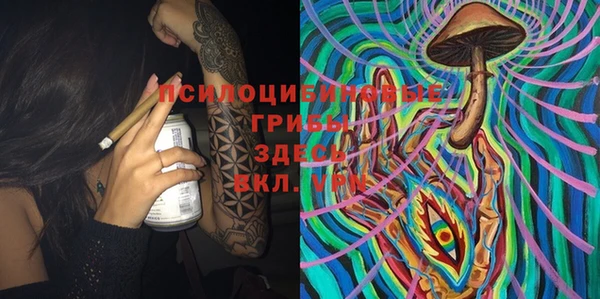 спайс Алзамай
