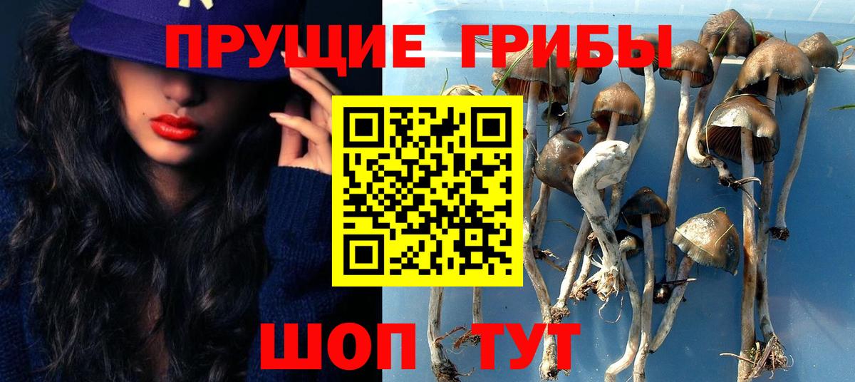 Когалым  Галлюциногенные грибы GOLDEN TEACHER  Псилоцибиновые грибы мухоморы  Вход с VPN 